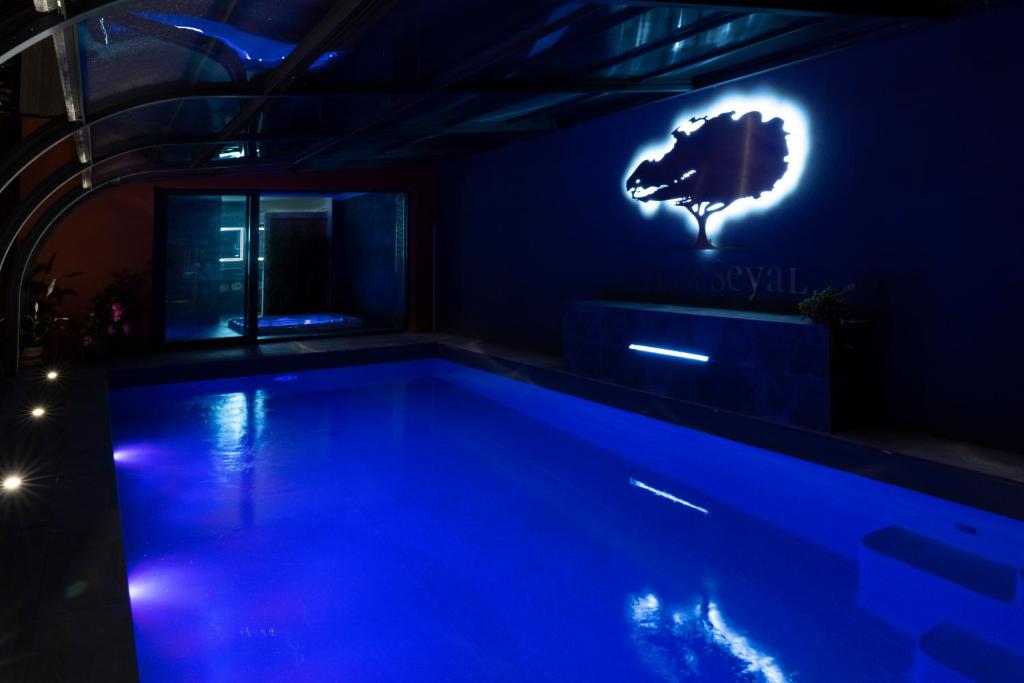 Villa Seyal avec piscine jacuzzi privatif sauna & climatisation Le Mans